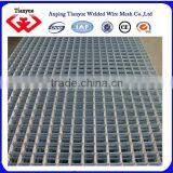Powder Coated and Electro Galvanized Welded Wire Mesh Panel