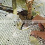 Polyethylene Anti-insect/pest Control Tray for Vegetable thumbnail-1