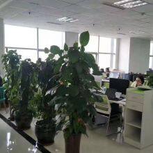 Shandong Xinghuida Construction Machinery Co. LTD company overview - view 3 thumbnail