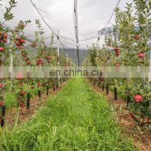 Wholesale Anti-hail Net For Orchards thumbnail-5