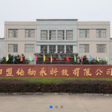 Luoyang MC Bearing Technology Co.,Ltd. company overview - view 1 thumbnail