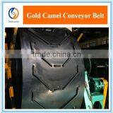 Patterned Conveyor Belt