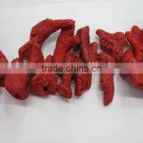 Natural Seaweed Red Coral Rough Nugget Gemstone Mineral Semi Precious thumbnail-1