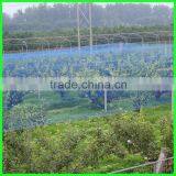 Anti Bird Net for Shrimp Pond Cover/bird Mist Netting thumbnail-5