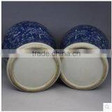 Large Decorative Temple Jar Chinese Blue and White Ginger Jar With Floral Painting thumbnail-6