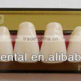 4 Layers Acrylic Teeth KAIJING T5 thumbnail-1