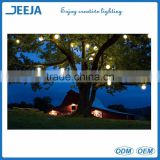 JEJA Illuminate 13 colors LED Orb Light/Waterproof Christmas Tree Light