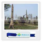 Simulation Plant Petrified Wood