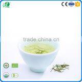 Best Green Tea Brands as Healthy Organic Green Tea thumbnail-4