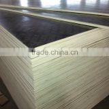 commercial plywood outside usage poplar core wbp/ melamine glue film faced plywood