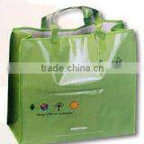 Reusable PP Woven Shopping Bag(KL08S017)