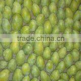 Pakistani Sweet Chaunsa Mango