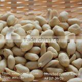 Chinese Wholesale Price Blanched Peanut Kernel