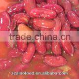 850g Tins Packing Red Kidney Beans in Tomato Sauce thumbnail-1
