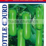 Bottle Gourd Short Melon Seeds Round Gourd Seeds thumbnail-1