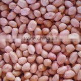Peanut kernel from Kego Vietnam with high quality new crop 2016
