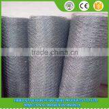 1/4 Inch Lowest Price Chicken Wire Mesh thumbnail-5