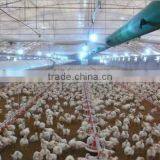 Chicken Farm Equipments thumbnail-1