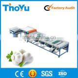 Garlic Grading Machine (sms +86-15937167907)