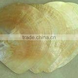 Polished Whitelip Mother of Pearl Shell Inlay thumbnail-3