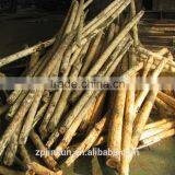 Hot Sale Wood Debarker Machine From Shandong Jinkun Company thumbnail-5