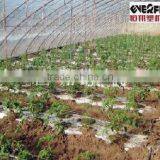 High Efficient Drip Hose Making Machine With Inlaid Flat Emitter thumbnail-2