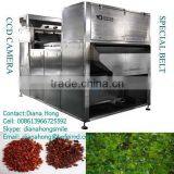 Electronic Colour/Color Sorter (Rice,Wheat,Corn,Seeds,Tea,Plastic,minerials Etc) thumbnail-6