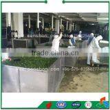 Advanced Sanshon STJ Box Type Fruit, Vegetable and Pappers, Carrots, Kinds of Food Dehydrator thumbnail-6