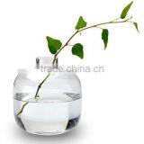 Machine Made Glass Vase for Flowers thumbnail-1