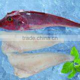 Red Gurnard With Frozen thumbnail-3