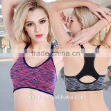 Women Cross Gym Fitness Pattern Seamless Sports Bra Made Yoga Bra thumbnail-1
