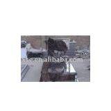 India Aurora thumbnail-1