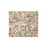 Sunflower Kernels thumbnail-1