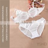 Most popular lace anti-bacterial cotton quick dry beautiful bra set