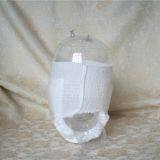 OEM Baby Training Pant, Soft Baby Training Pants, Non Woven Baby Training Pants thumbnail-4