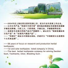 2022 Lmz Gum Care Natural Herbal Toothpaste thumbnail-4