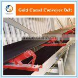 Electronic Conveyor Belt Scale in Cement Industry