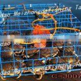 crab trap/crab pot/crab creel/fhishing cage