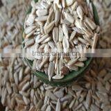 Sunflower Kernels for Oil Extract Refined thumbnail-3