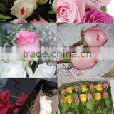 Fresh Flower Printing Machine