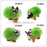 Small White Table Grass Dolls thumbnail-6