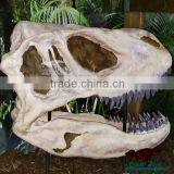 OA-SD-L35 Museum Exhibition Equipment Dinosaur Skull thumbnail-6