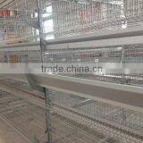 Chicken Poultry Layer Farming Equipment thumbnail-5
