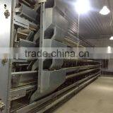 H Type Hen Chicken Cage thumbnail-2