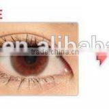 Authentic Korea Geo Contact Lens Good Quality Colour Contact Lens GEO XCH Yearly Geo Contact Lens Quality Choice thumbnail-6