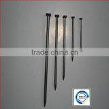 Nails and Steel Iron Nails