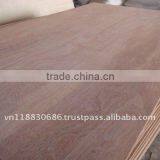 PINE PLYWOOD thumbnail-1