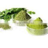 ISO Certified Moringa Leaf Powder Pure Moringa Herbal Powder Bulk Moringa Powder thumbnail-2