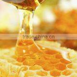 Water Soluble Propolis Extract Powder ( Skype: Liu.diana 79 , Whatsapp: 15029025639) thumbnail-6