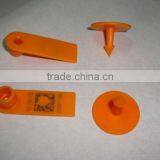 Ear Tag thumbnail-1